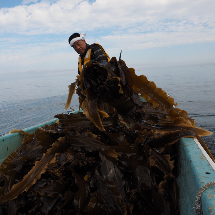 A fisherman capturing kombu kelp on a boat