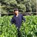 Man standing in the middle of tea field