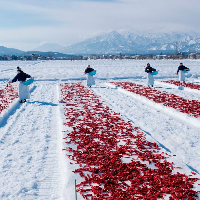 Four women throwing chili peppers onto snow ground