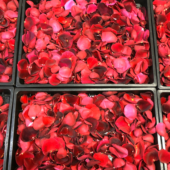Bunch of rose petals in baskets
